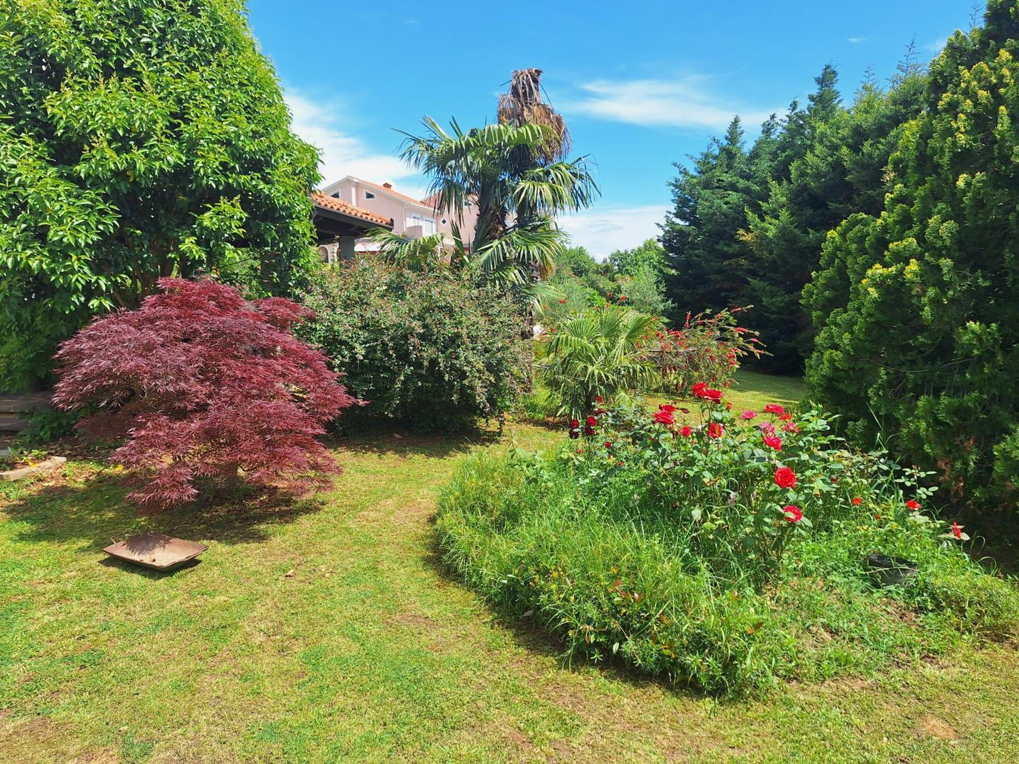 Villa Fiumana Rijeka Zimmer foto